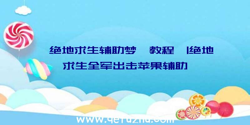 「绝地求生辅助梦魇教程」|绝地求生全军出击苹果辅助